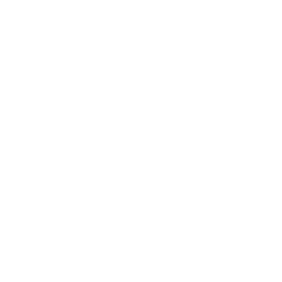 icone-github